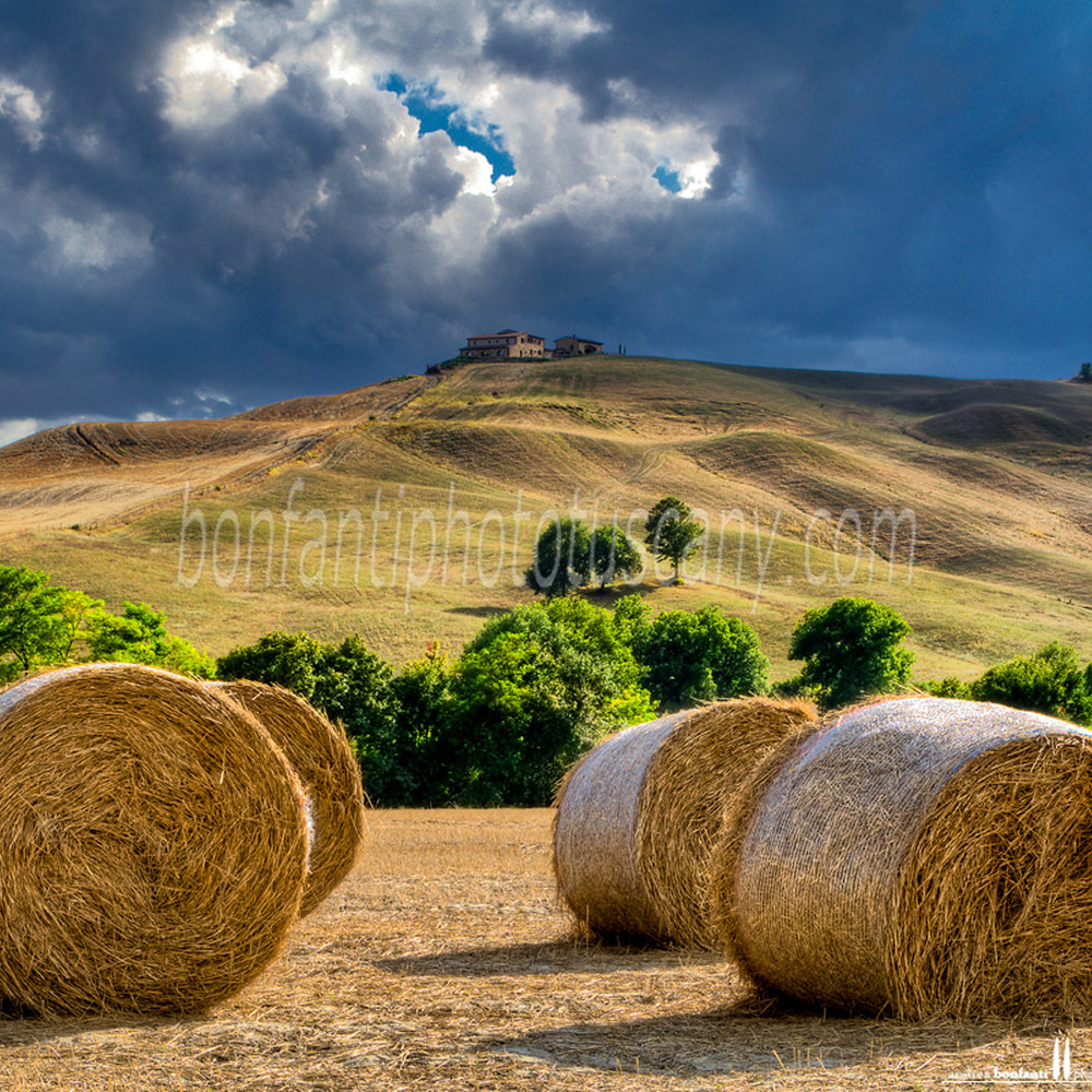crete senesi landscape #70 summer round bales in calceno