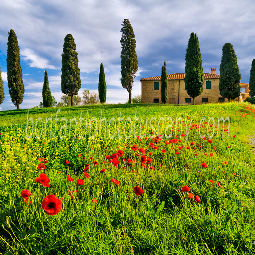 val d'orcia landscape - countryside nerby Pienza.jpg