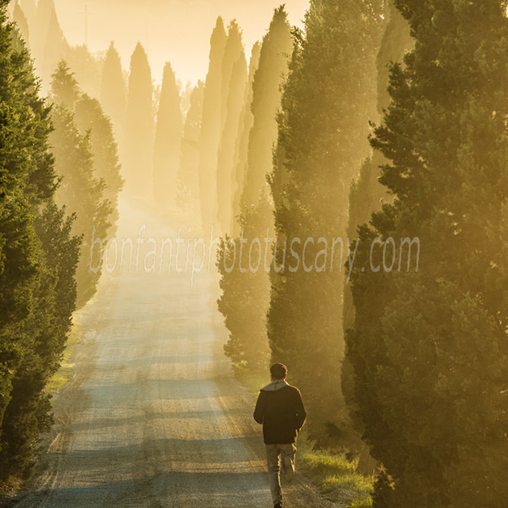 crete senesi landscape #46 a jogger in leonina