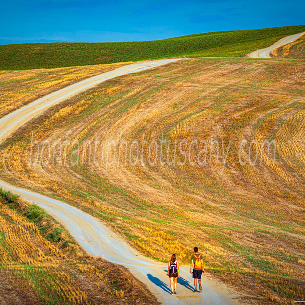 crete senesi landscape #39 winding road at the site transitoire