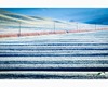 frozen fields rhythm in leonina, crete senesi.jpg