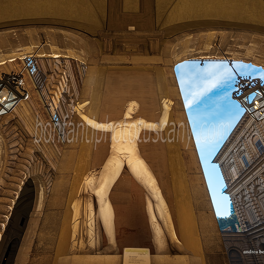 statua del gladiatore nel cortile di palazzo pitti.jpg