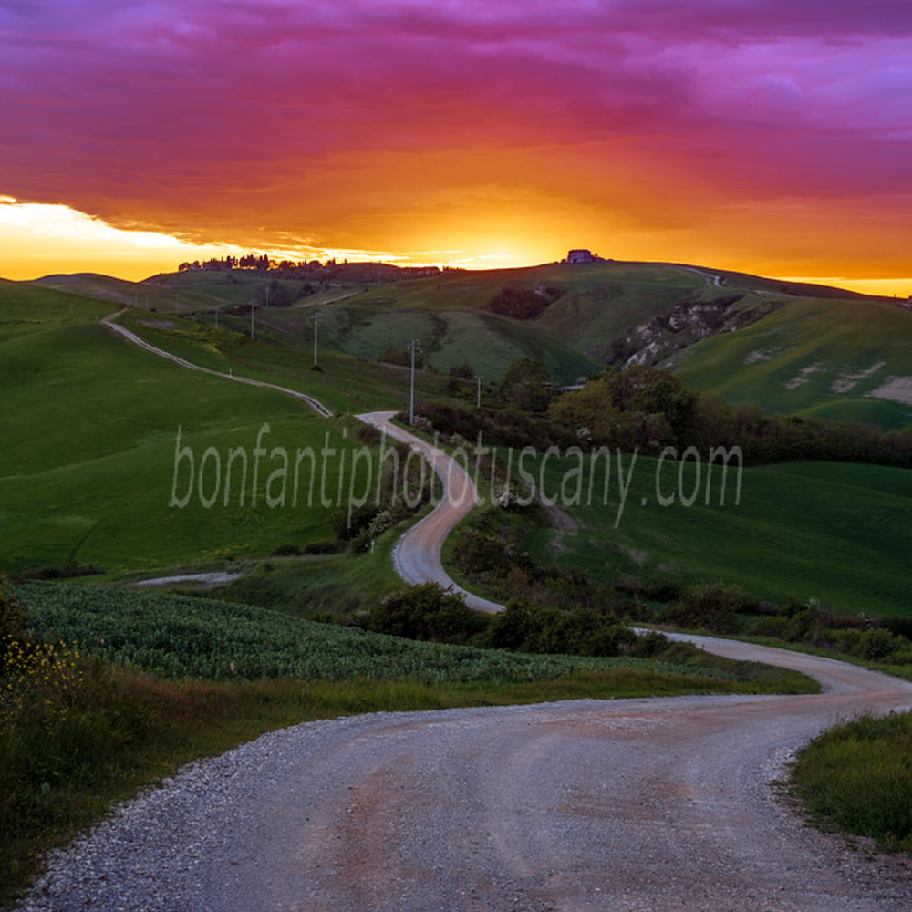 crete senesi landscape #66 winding road at sunset in monte sante marie