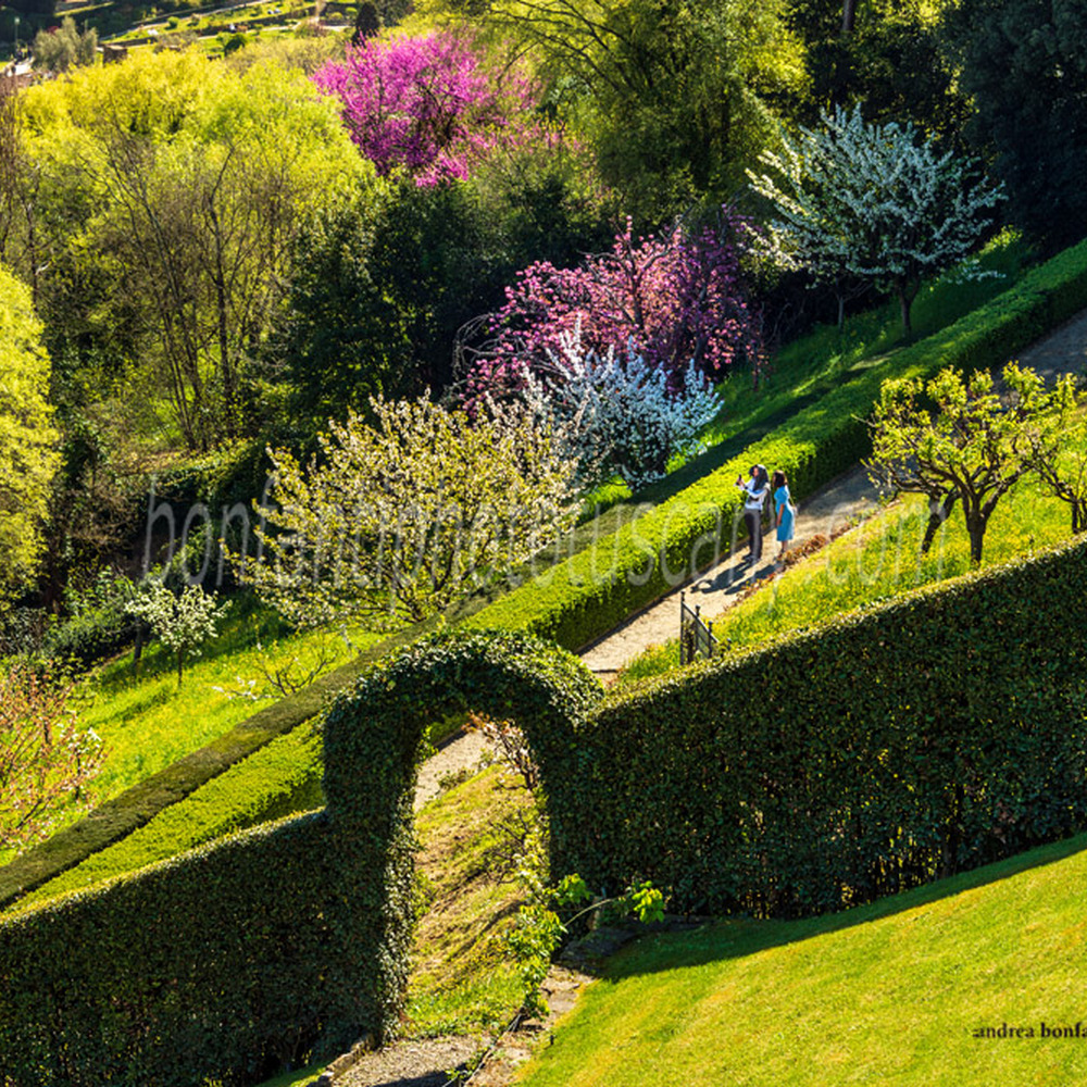 vialetto del giardino bardini in primavera con due turisti.jpg