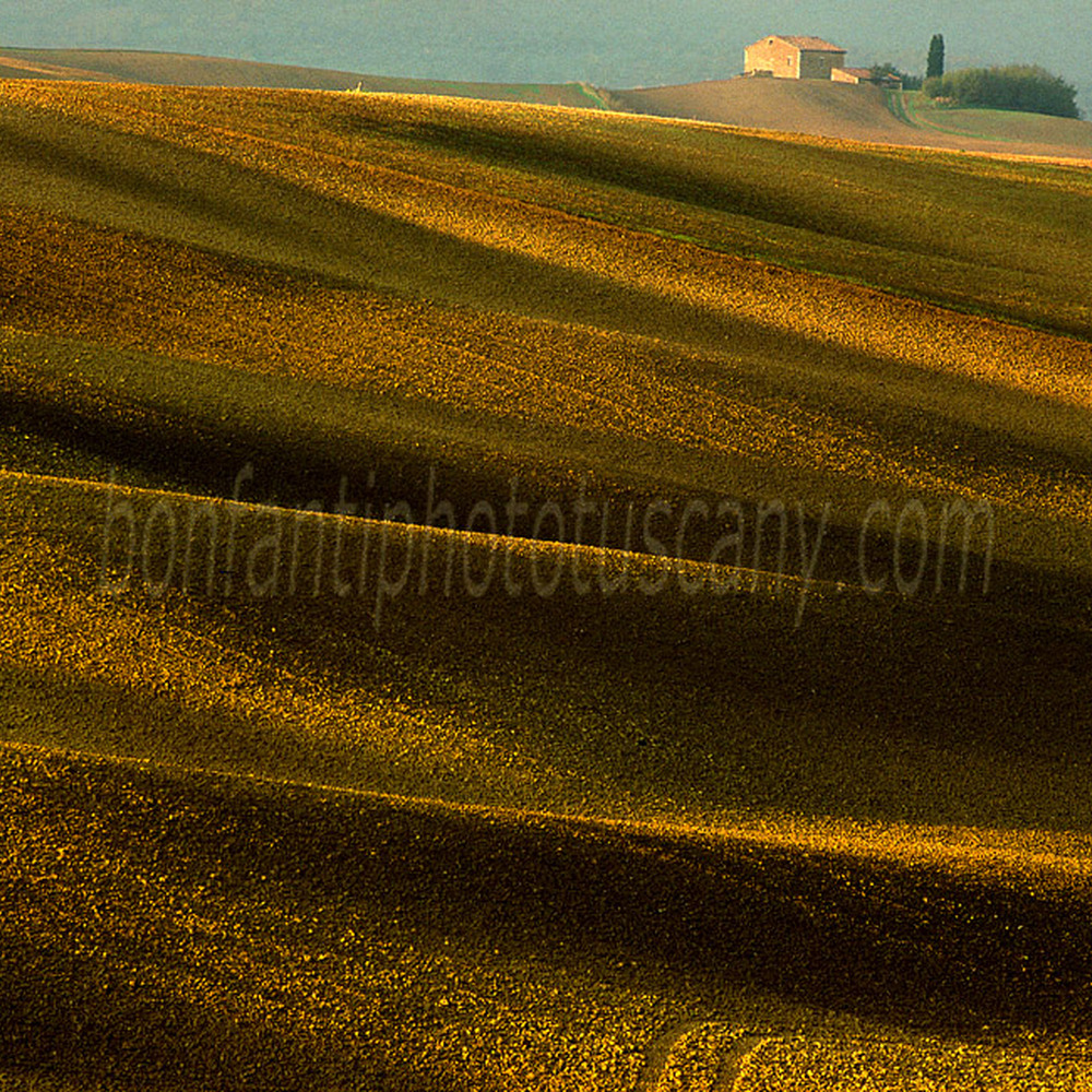 val d'orcia landscape - waves of clay nearby Pienza.jpg
