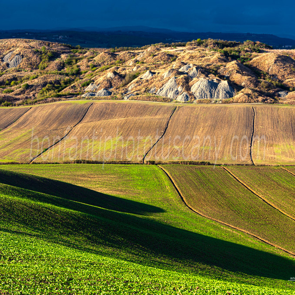 crete senesi landscape #33 biancane in leonina