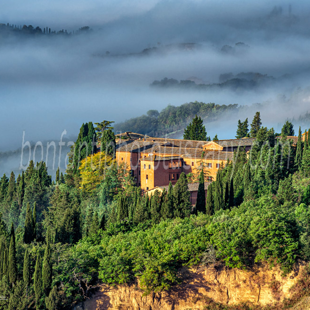monte oliveto maggiore abbey - a view in the landscape #5.jpg