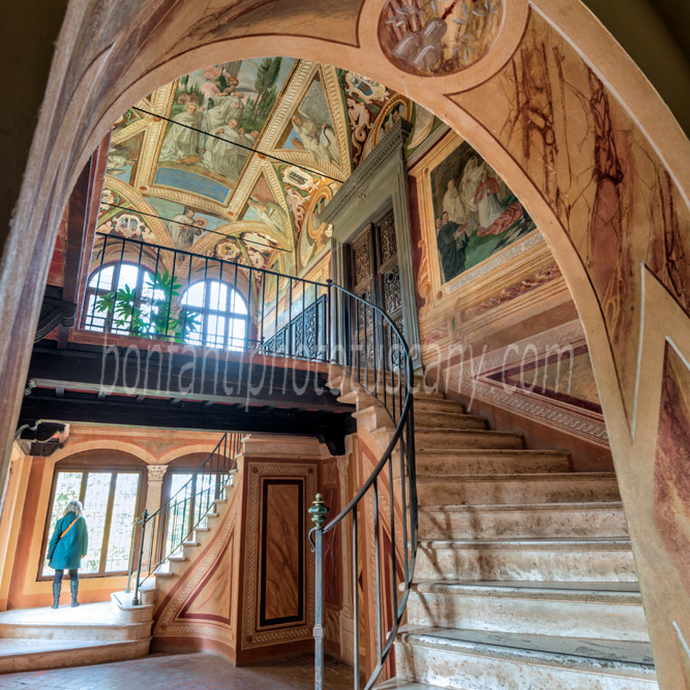 monte oliveto maggiore abbey - library #1.jpg