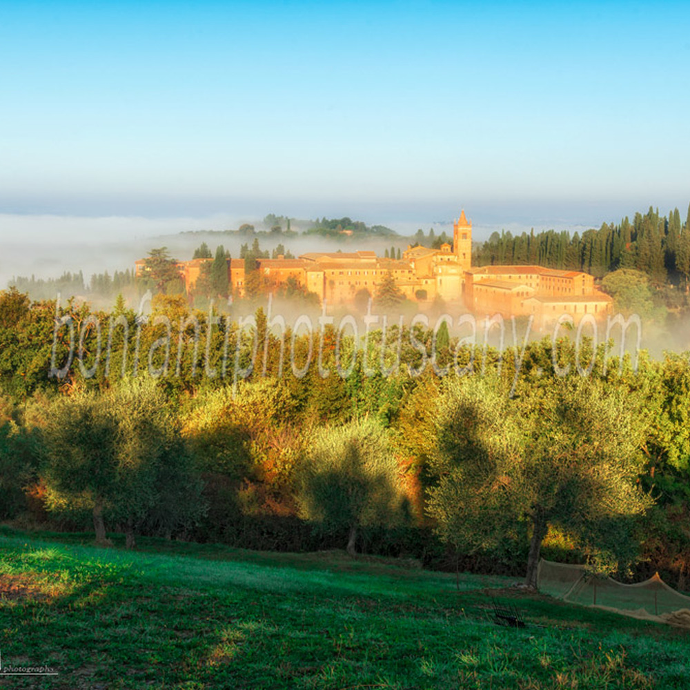 monte oliveto maggiore abbey - a view in the landscape #1.jpg