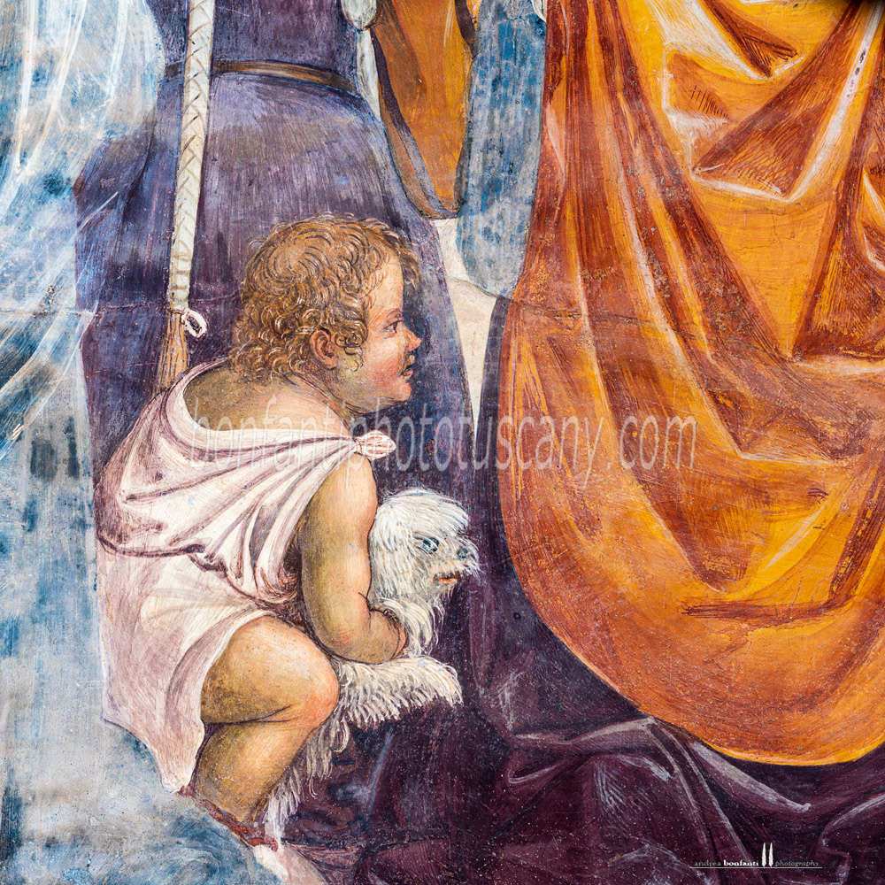 monte oliveto maggiore abbey - great closter (frescoes) #13.jpg