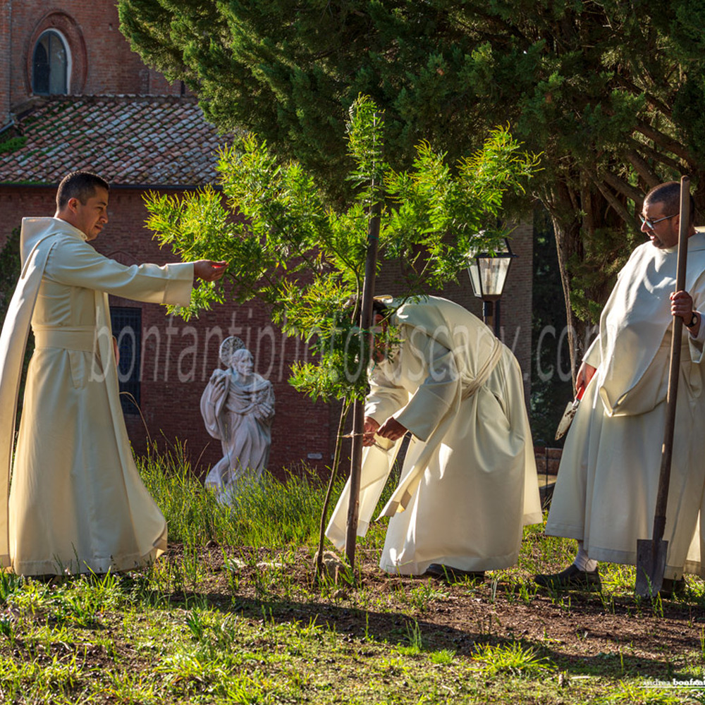 monte oliveto maggiore abbey - monks at work in their vegetable garden.jpg