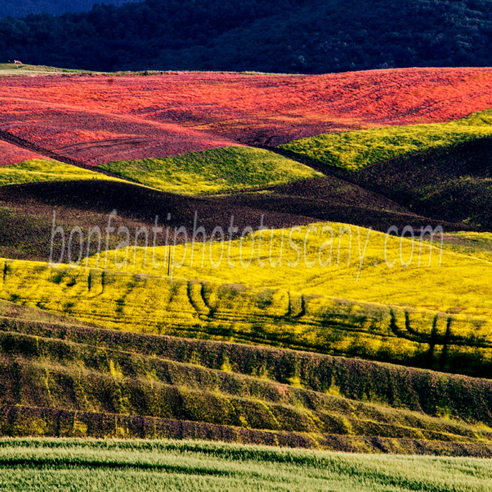 val d'orcia landscape - colors of spring in San Quirico d'Orcia.jpg