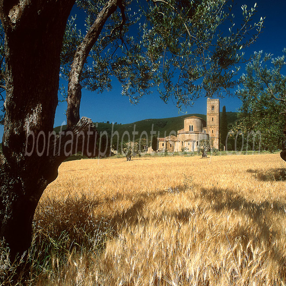 sant'antimo abbey in the landscape #1.jpg