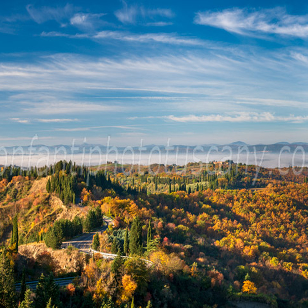 monte oliveto maggiore abbey - landscape #6.jpg
