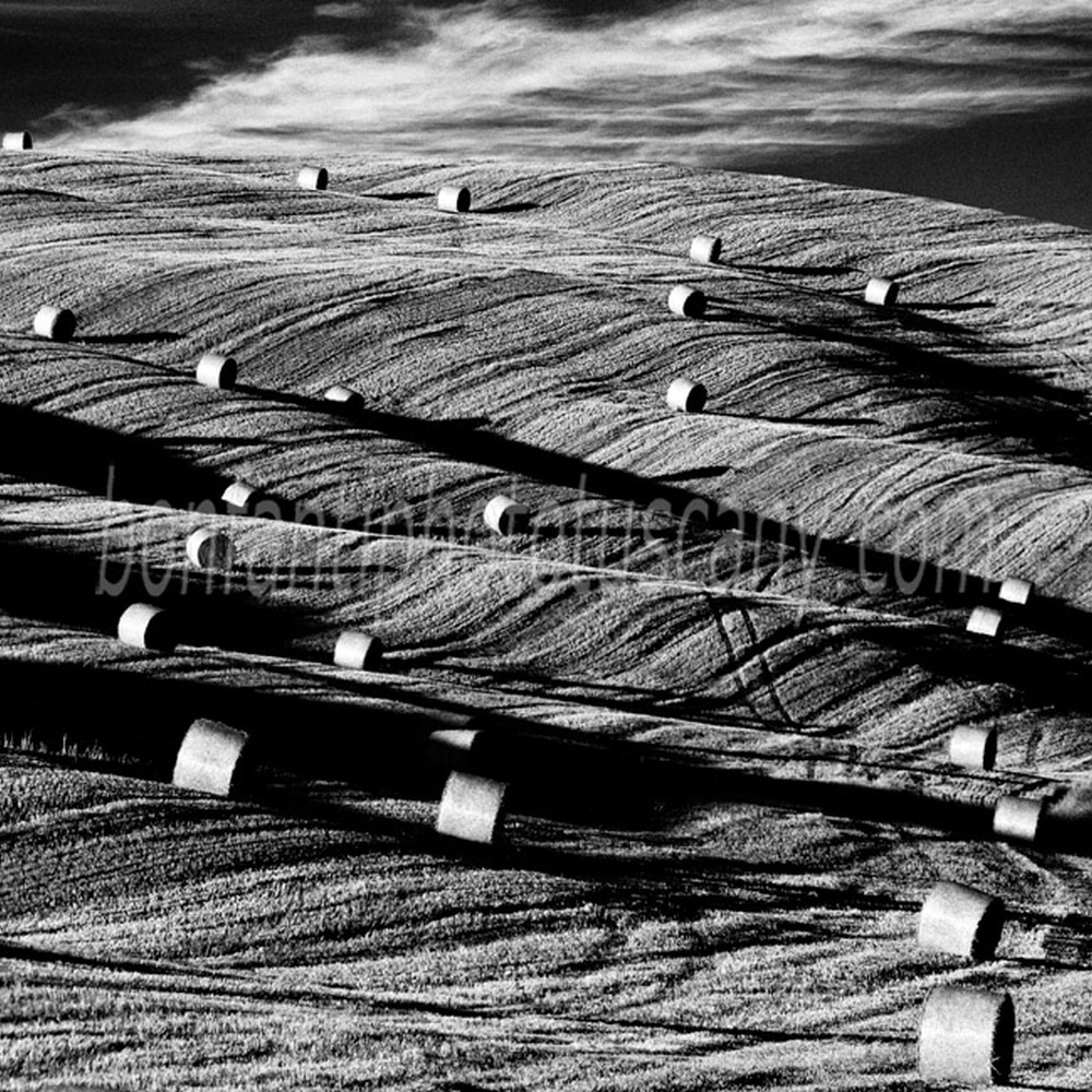 val d'orcia landscape - bales of hay.jpg