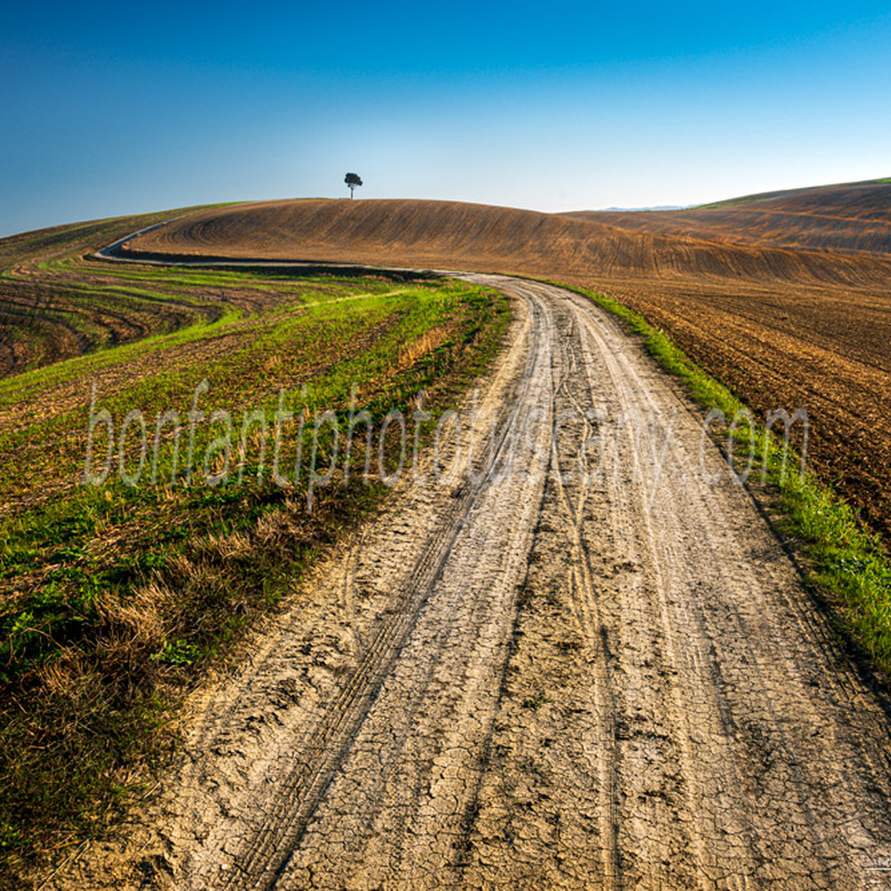 crete senesi landscape #69 country road to mucigliani