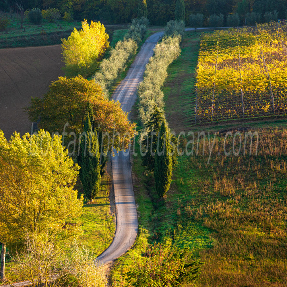 chianti landscape - winding road in castelnuovo berardenga.jpg