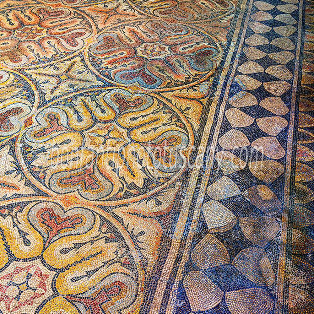 asciano - mosaico romano #3