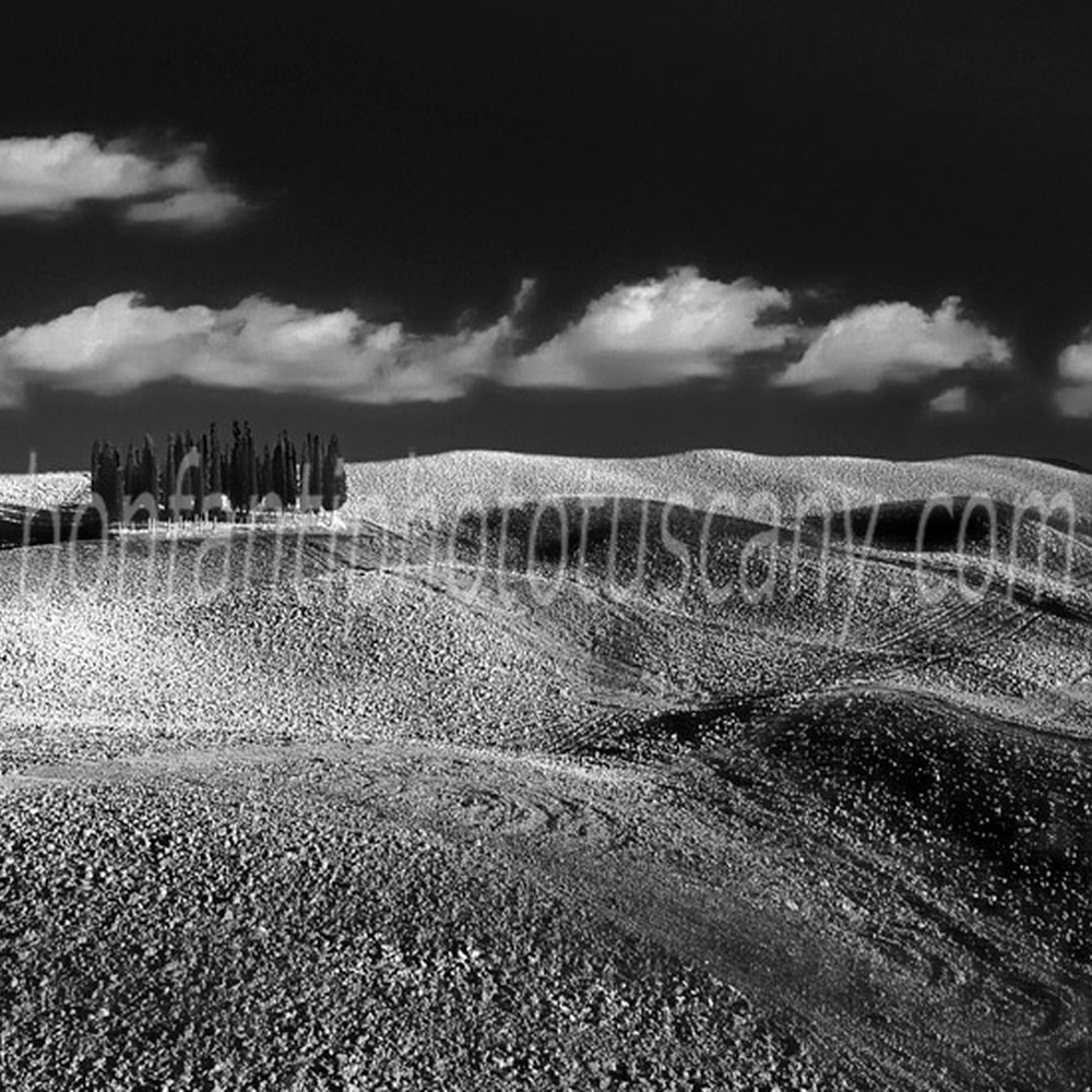 val d'orcia landscape - torrenieri #3.jpg