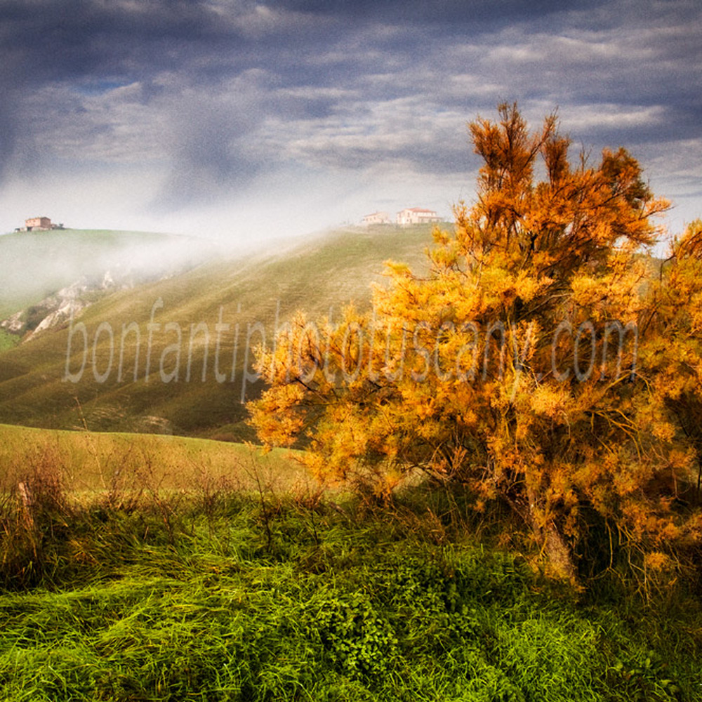 crete senesi landscape #34 autumn in calceno