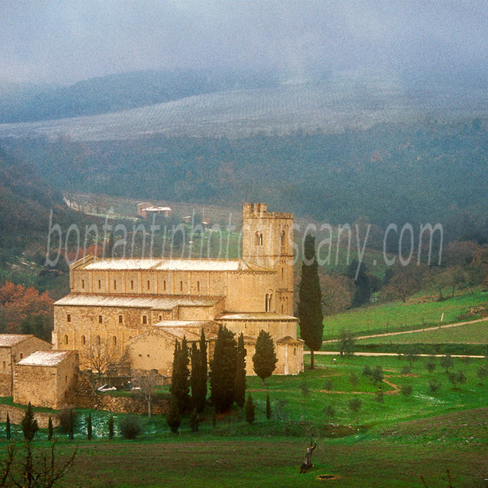 sant'antimo abbey in the landscape #5.jpg