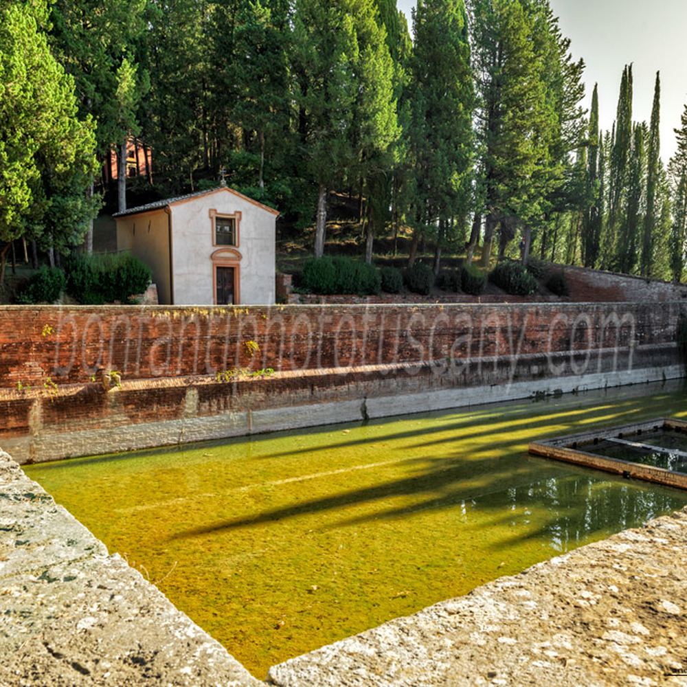 monte oliveto maggiore abbey - the fish pool.jpg