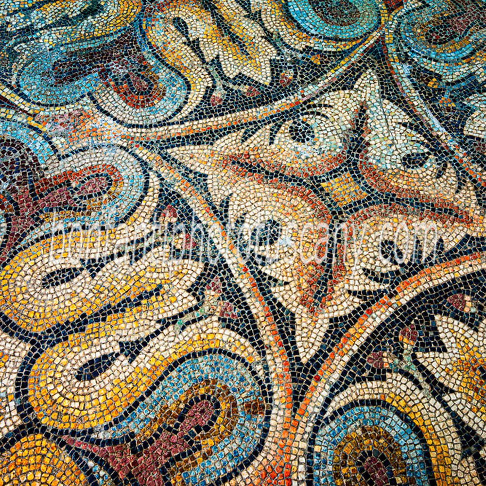 asciano - mosaico romano #2