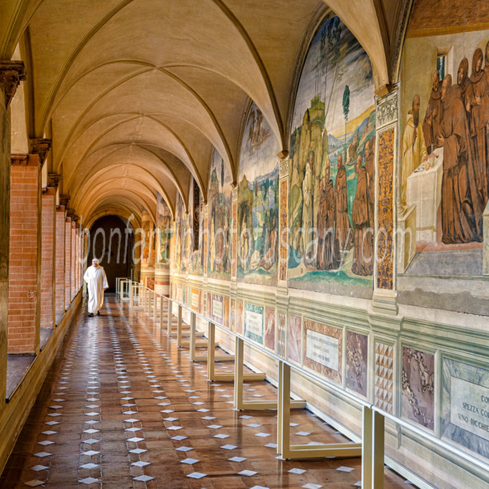 monte oliveto maggiore abbey - great cloister #6.jpg