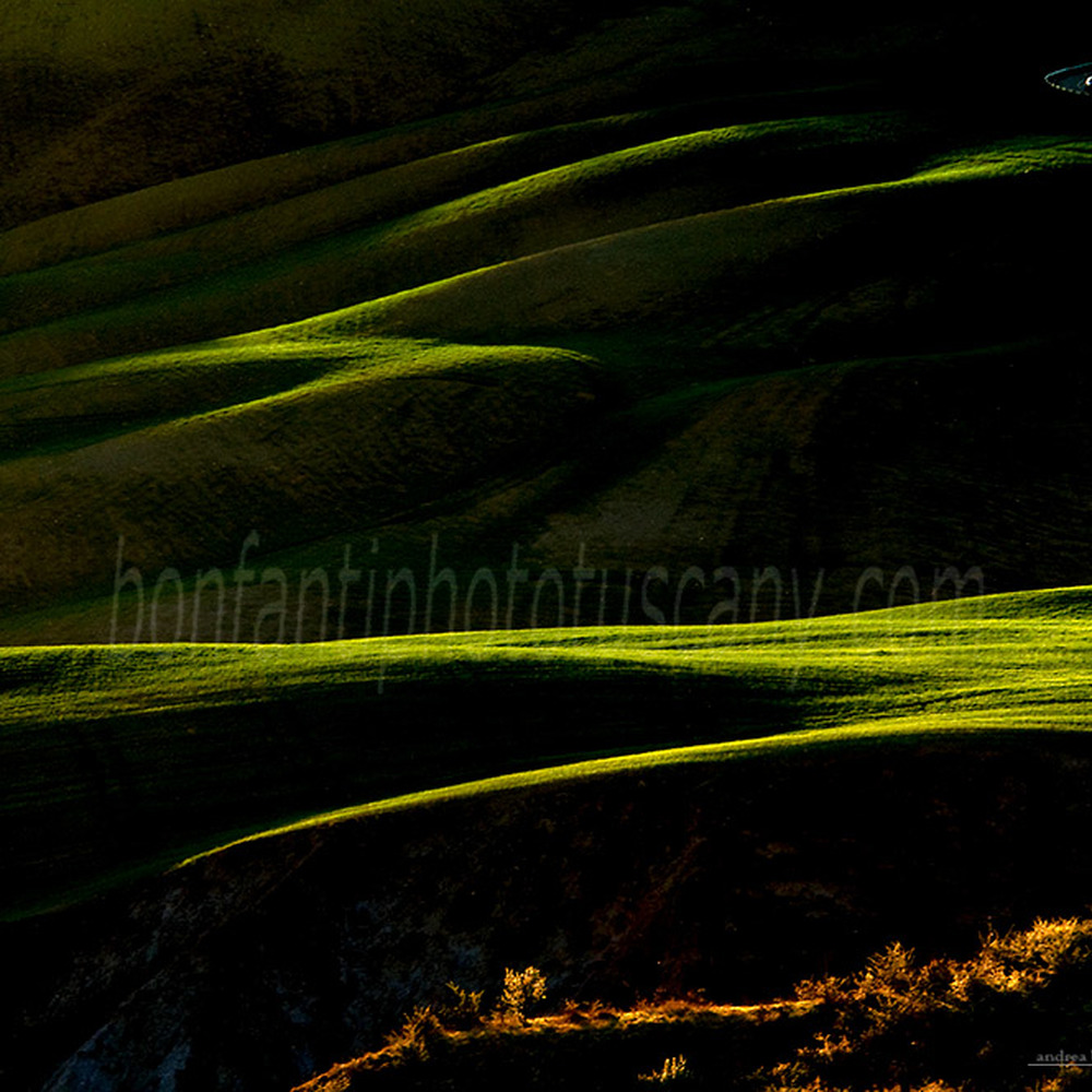 crete senesi landscape #22 chiaroscuro in menchiari