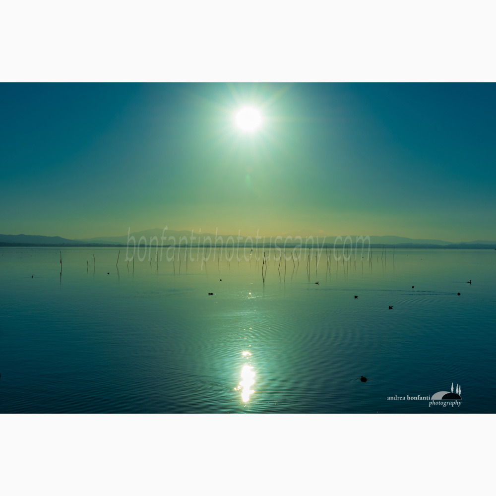 Sunset A Trasimeno Lake With Fishing Net Poles And Branches On Perfectly  Still Water Stock Photo - Download Image Now - iStock