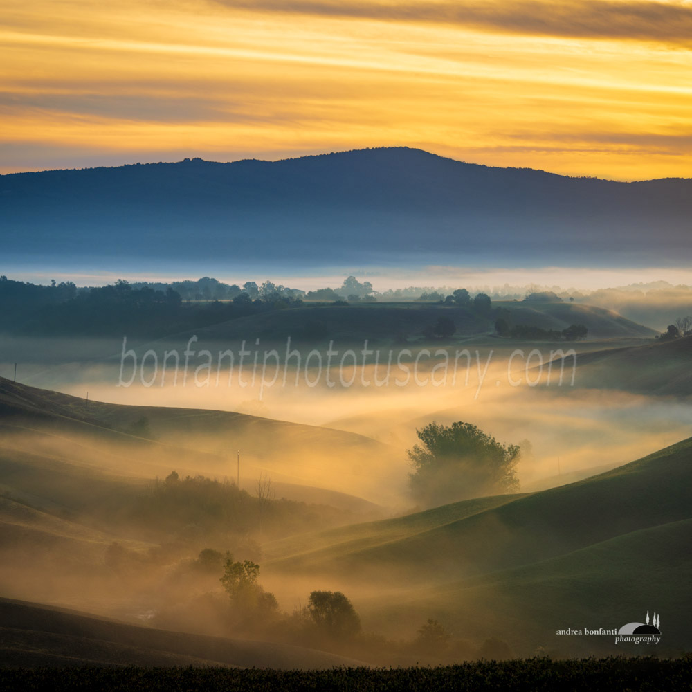 awakening of the earth.jpg