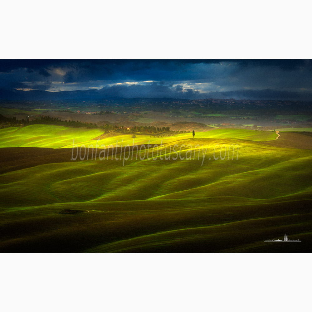 crete senesi landscape Autumn #10 mucigliani.jpg