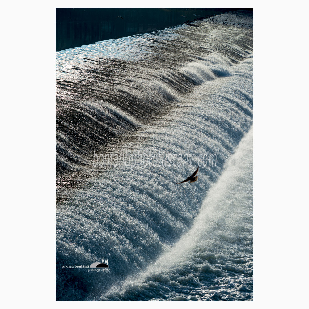 the waterfall of the pescaia (weir) di santa rosa.jpg