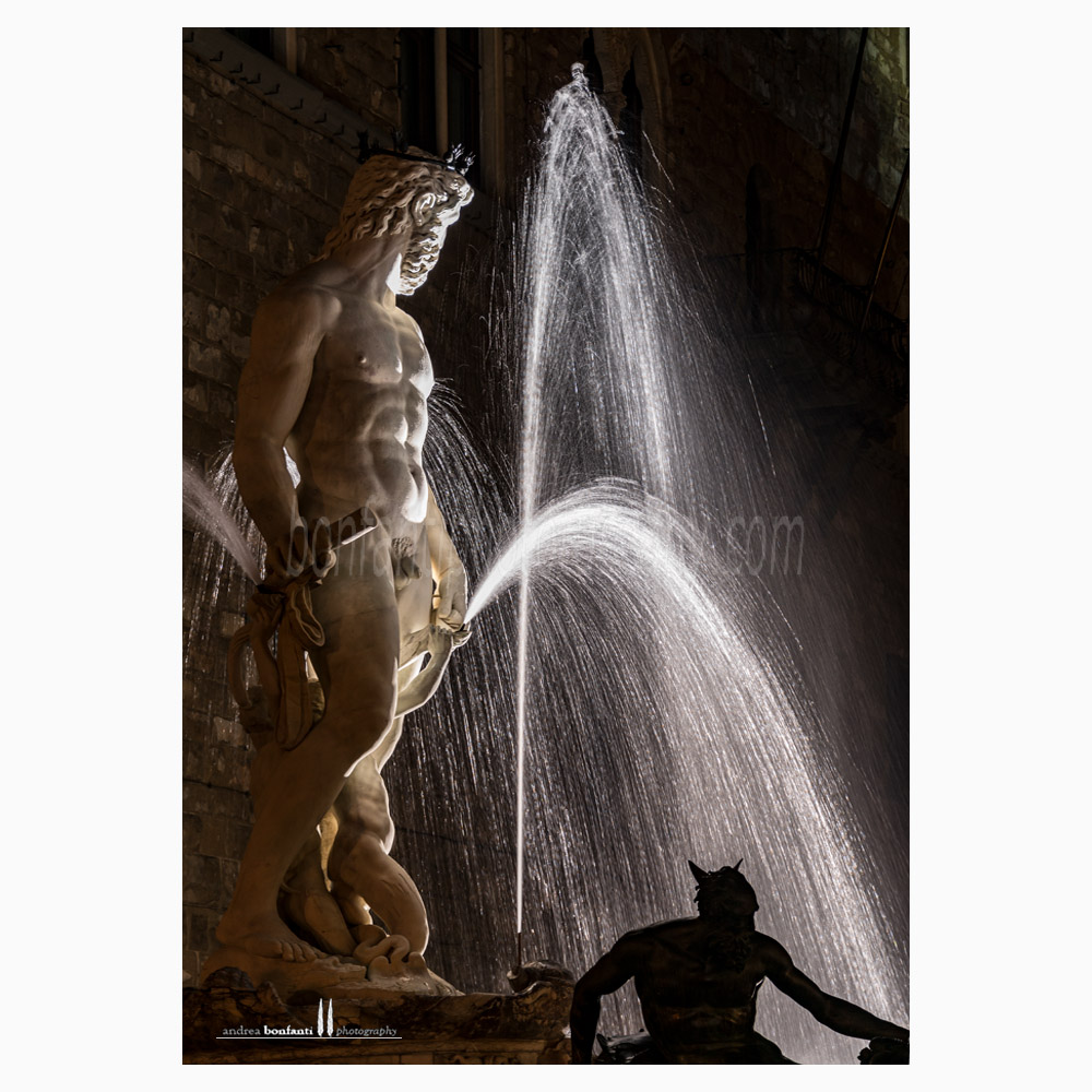 piazza signoria #5 firenze