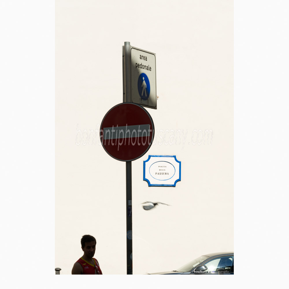 piazza della passera.jpg