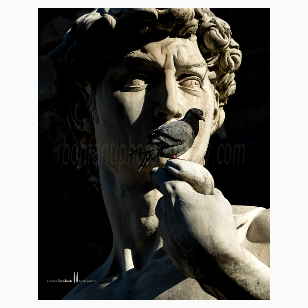 David in piazza Signoria - Firenze