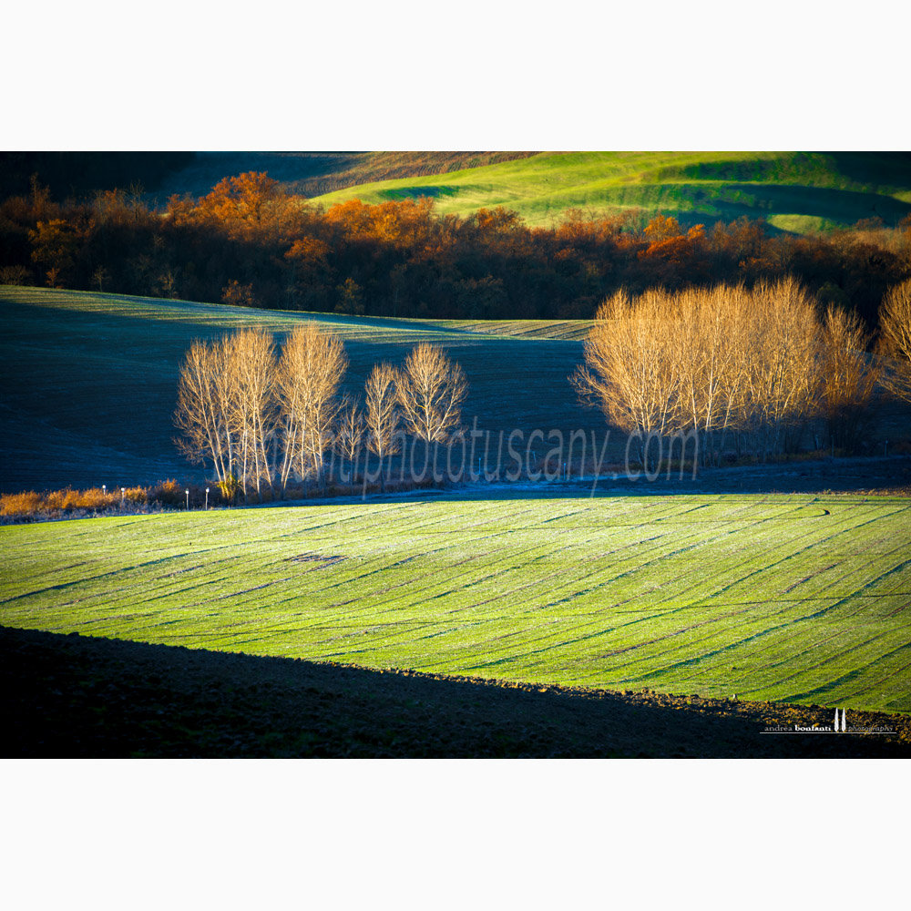 crete senesi landscape Winter #3 montaperti.jpg
