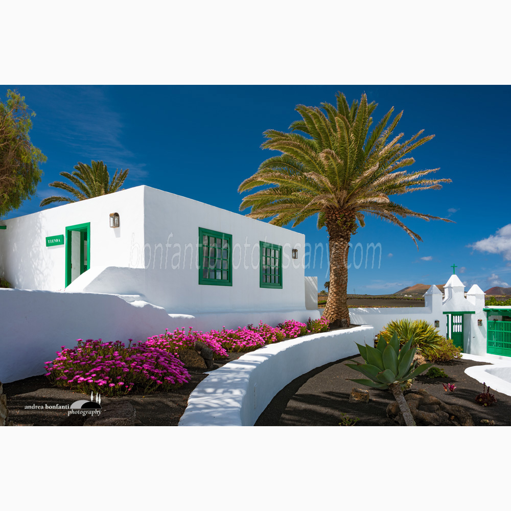 traditional architecture of Lanzarote with a palm tree in the Campesino Monument.jpg