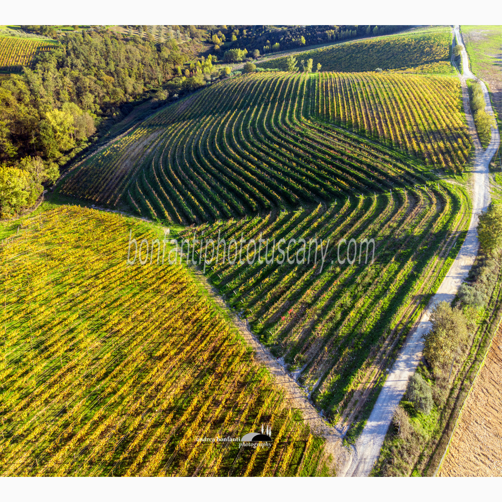 vineyard patterns a "Giropoggio" in the countryside of Gaiole in Chianti.jpg vineyard patterns a "Giropoggio" in the countryside of Gaiole in Chianti.jpg