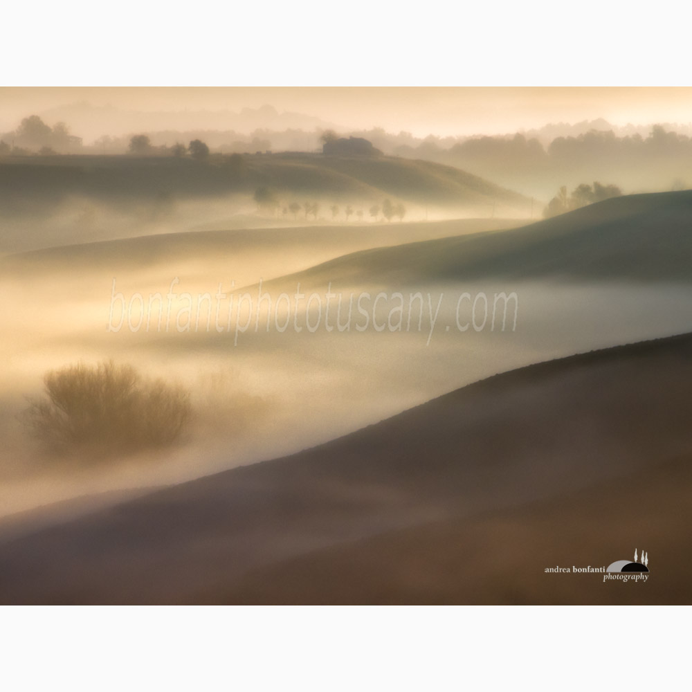 a gaze veiled by the fog.jpg