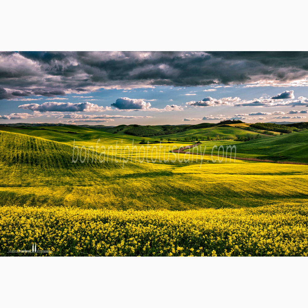 crete senesi landscape Spring #2 ristoro.jpg