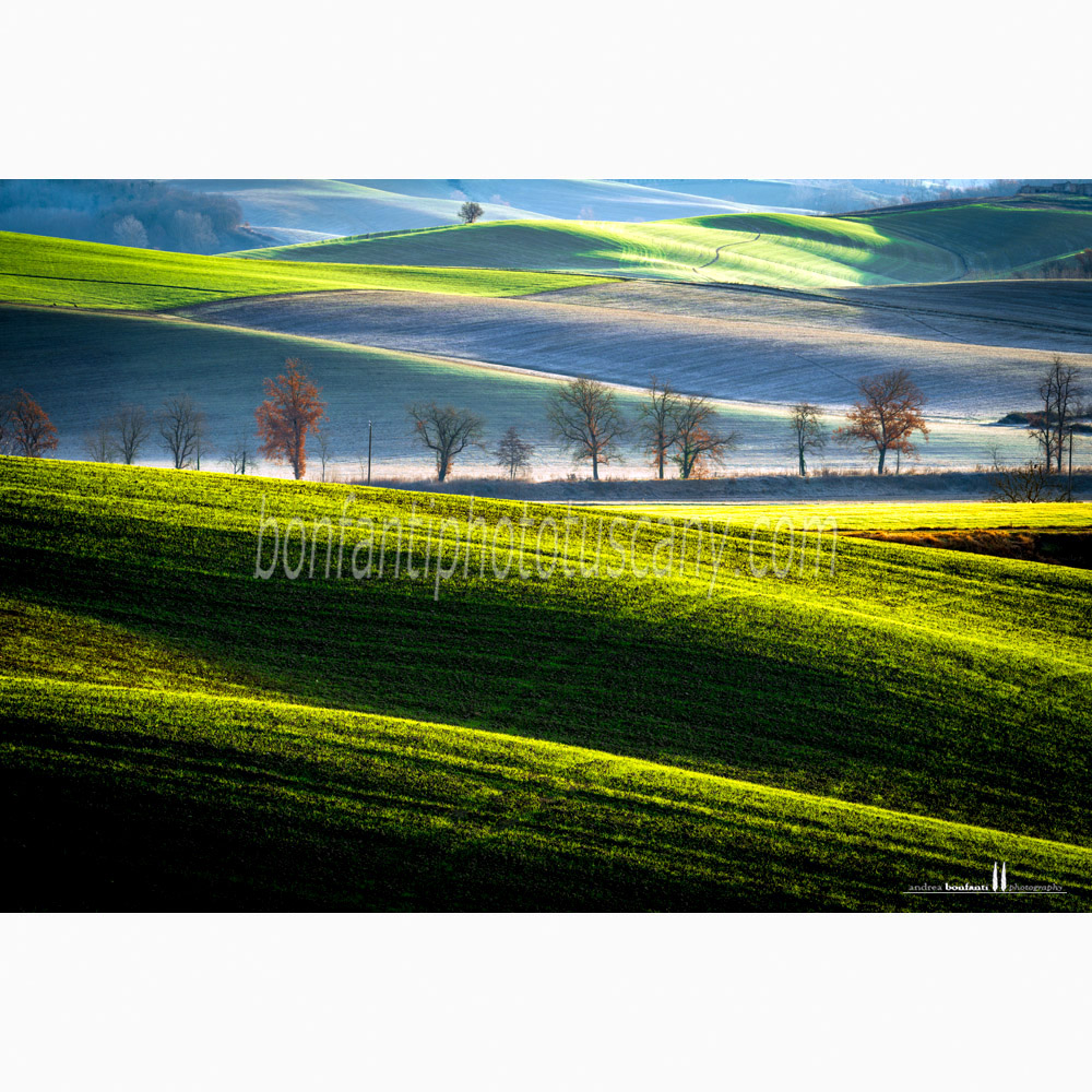 crete senesi landscape Winter #2 montaperti.jpg