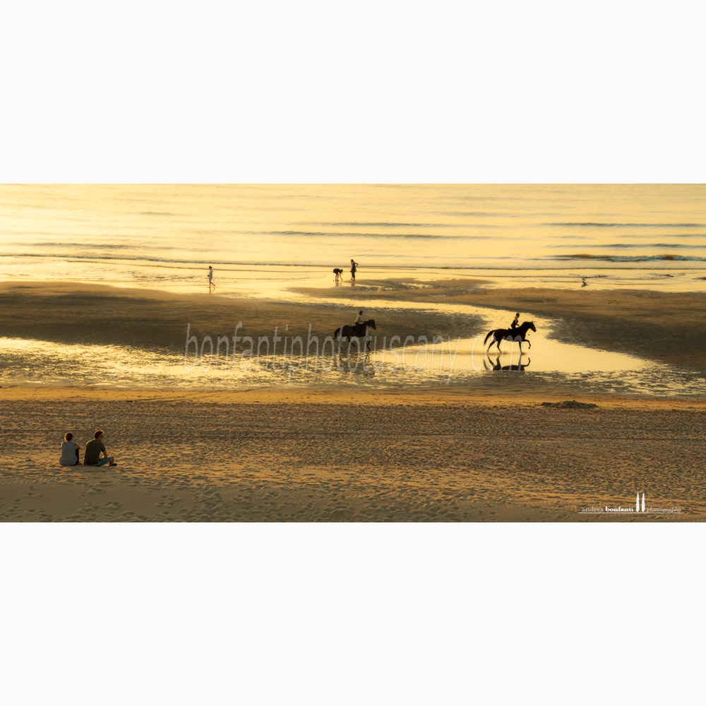 st.idesbald north sea - a quiet sunset on the beach.jpg st.idesbald north sea - a quiet sunset on the beach.jpg