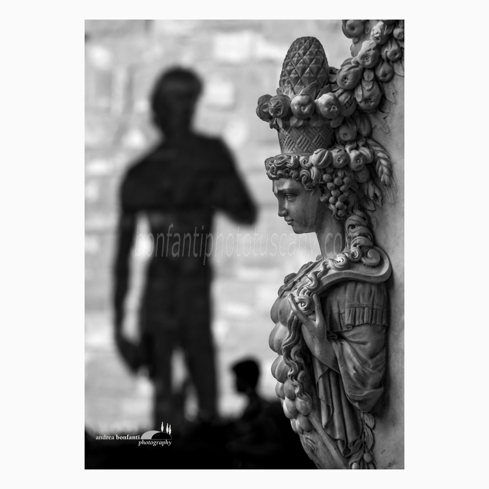 the shadow of David in piazza Signoria.jpg the shadow of David in piazza Signoria.jpg