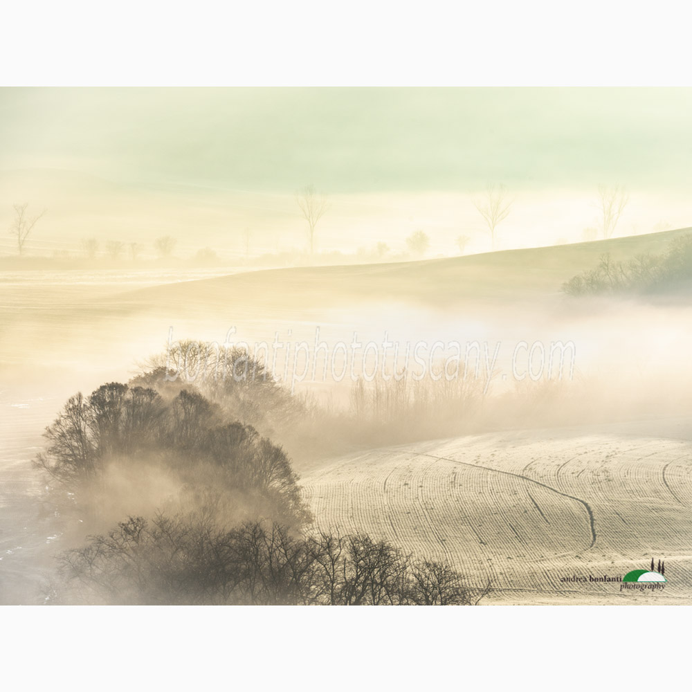 frozen fields and unfinished time.jpg