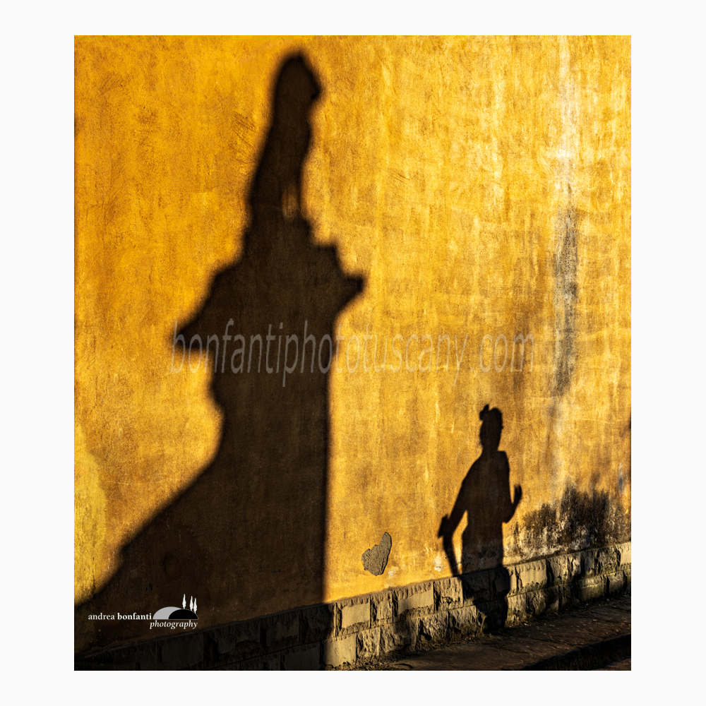 ombre vespertine su un muro di via san leonardo con un marzocco da colonna e una jogger di passaggio.jpg ombre vespertine su un muro di via san leonardo con un marzocco da colonna e una jogger di passaggio.jpg