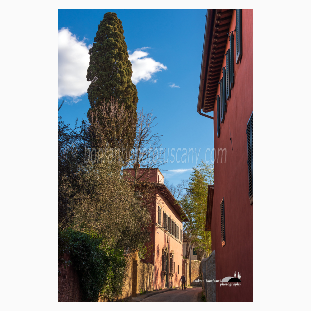 un tratto di via san leonardo fra le villa lauder e piatti sullo sfondo con un altissimo cipresso nel mezzo.jpg un tratto di via san leonardo fra le villa lauder e piatti sullo sfondo con un altissimo cipresso nel mezzo.jpg