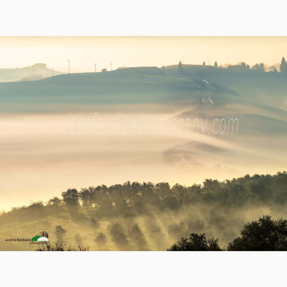 winding road in the valley of mist.jpg