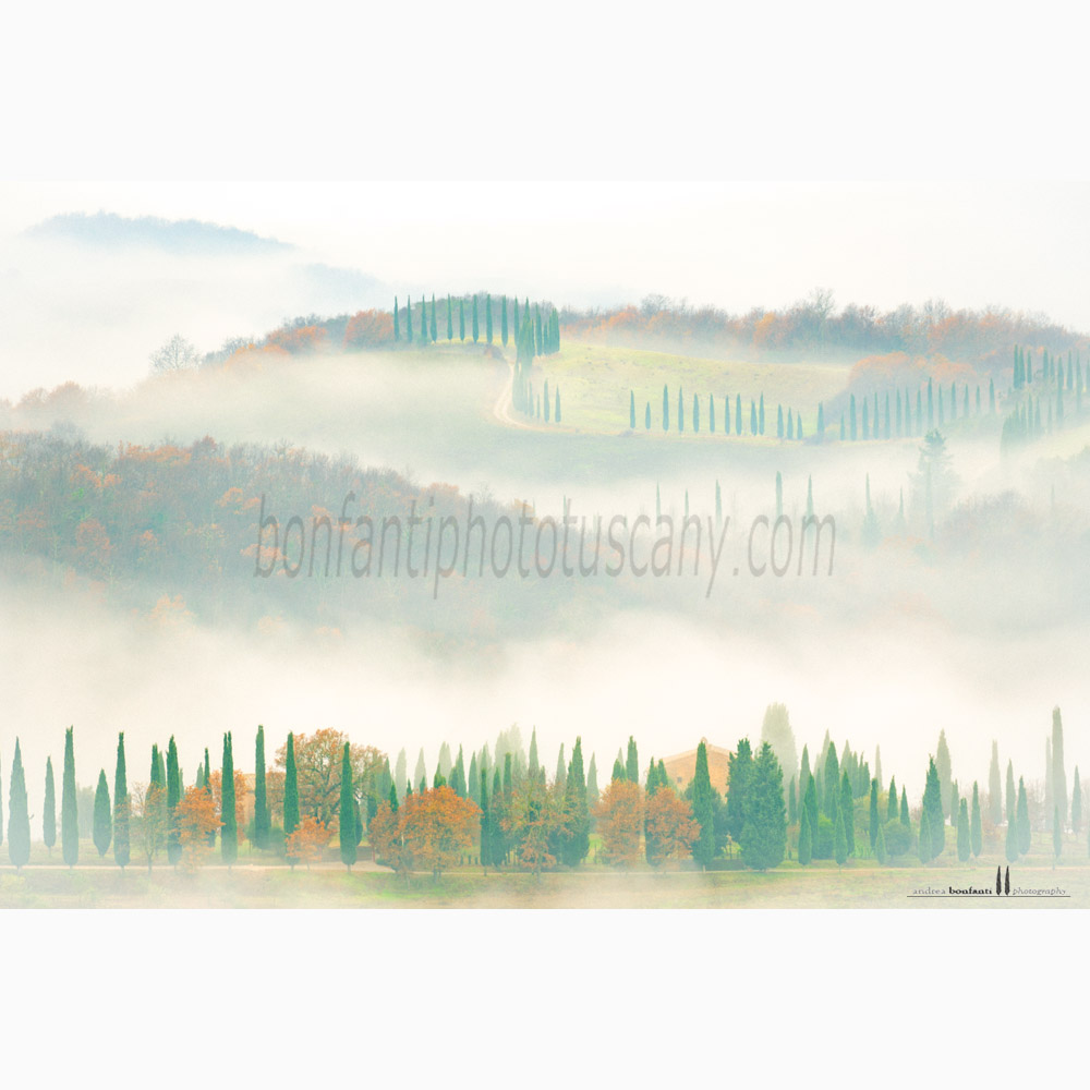 crete senesi landscape Winter #6 asciano.jpg