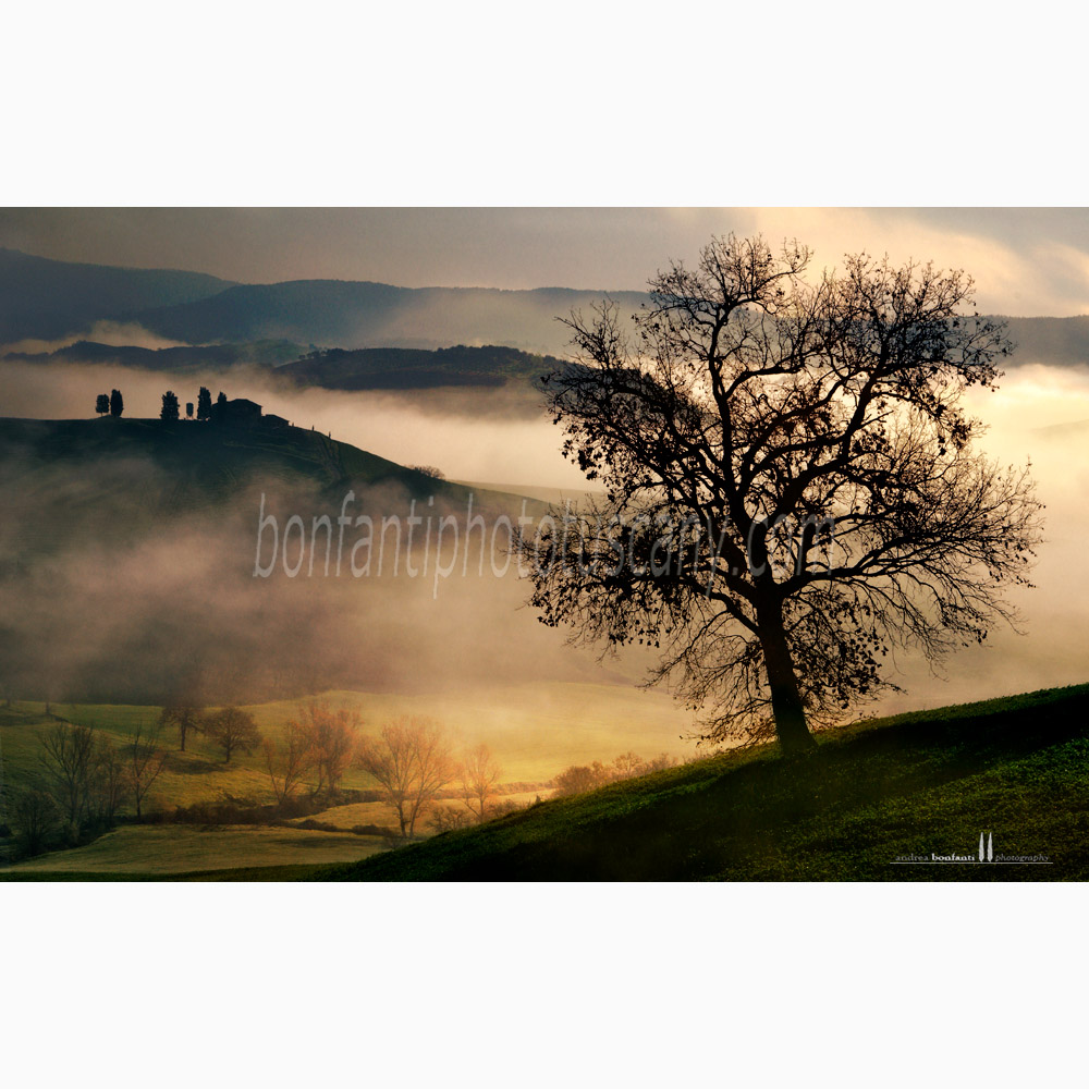 crete senesi landscape Spring #7 asciano.jpg